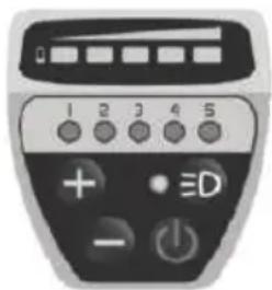EMG Royal - Unité type DP E06 LED - 1