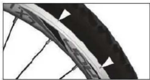 EMG Royal - RIMS - 1