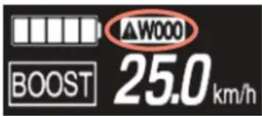 W000 BOOST 25.0 km/h