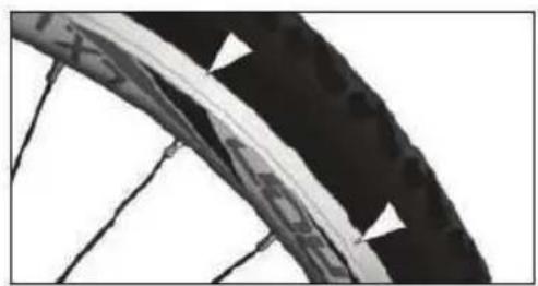 EMG Lord - RIMS - 1