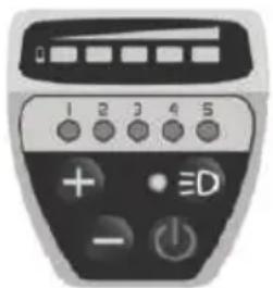 EMG Lord - Unité type DP E06 LED - 1