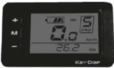 EMG Lord - Interpretazione dei codici di erre - 1