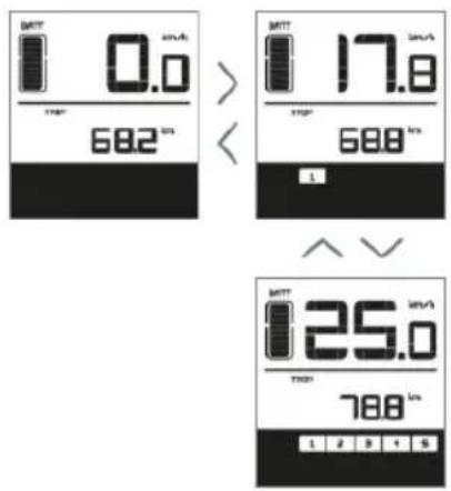 EMG Lord - Livello di assistenza - 1