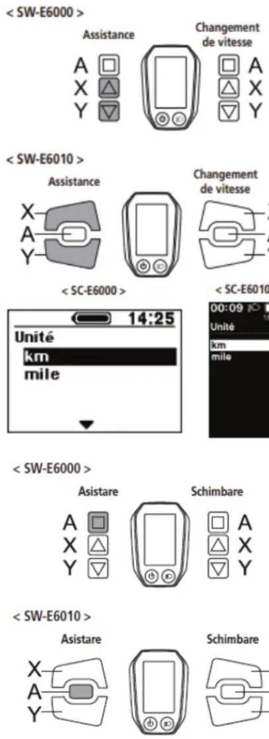 EMG Lord - Unité - 1