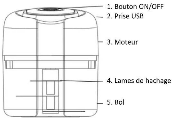LIVOO DOP226 - DESCRIPTION - 1