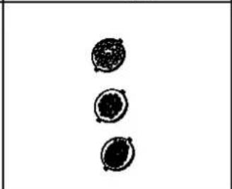 LIVOO DOP224 - Notice d'utilisation - 8