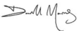 SILVERLINE 521333 - Si conforma alle seguenti direttive - 1