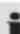 ProfiCare PCR 3013 - OSTRZEZENIE: - 1