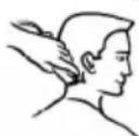 SINBO SHC 4353 - COUPE de cheveux - 3
