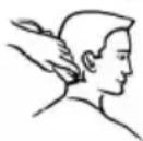 SINBO SHC 4353 - HAAR KNIPPEN - 3