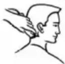 SINBO SHC 4353 - HAARSCHNITT - 3