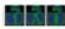 Tripp Lite B020U0819IP - KVM Operation (continued) - 2