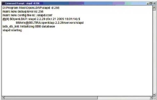 Tripp Lite B020U0819IP - Starting the OpenLDAP Server - 1