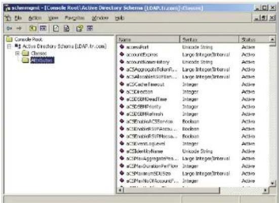 Tripp Lite B020U0819IP - Prolonger et mettre à jour le schéma de l'active directory - 1