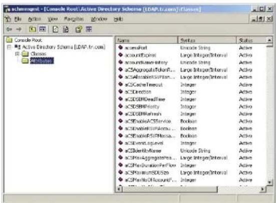 Tripp Lite B020U0819IP - Extend and Update the Active Directory Schema - 1