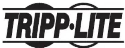 Tripp Lite B07000819 - Información de sobre Cumplimiento de la WEEE para Clientes de Tripp Lite y Recicladores (Unión Europea) - 2