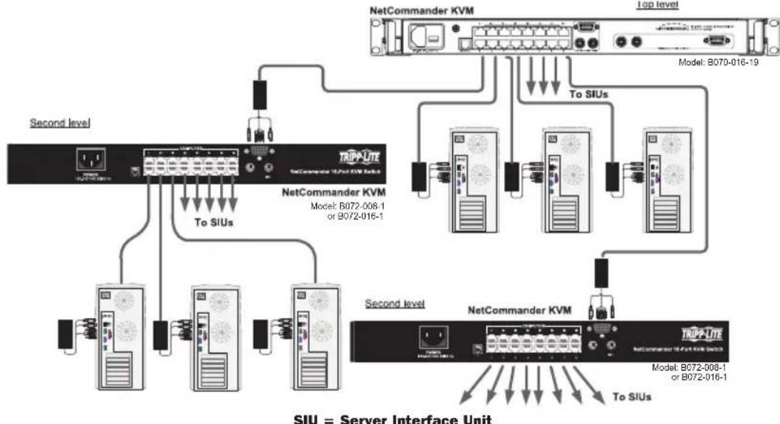 Tripp Lite B07000819 - Cascading NetCommander KVM Switches - 1