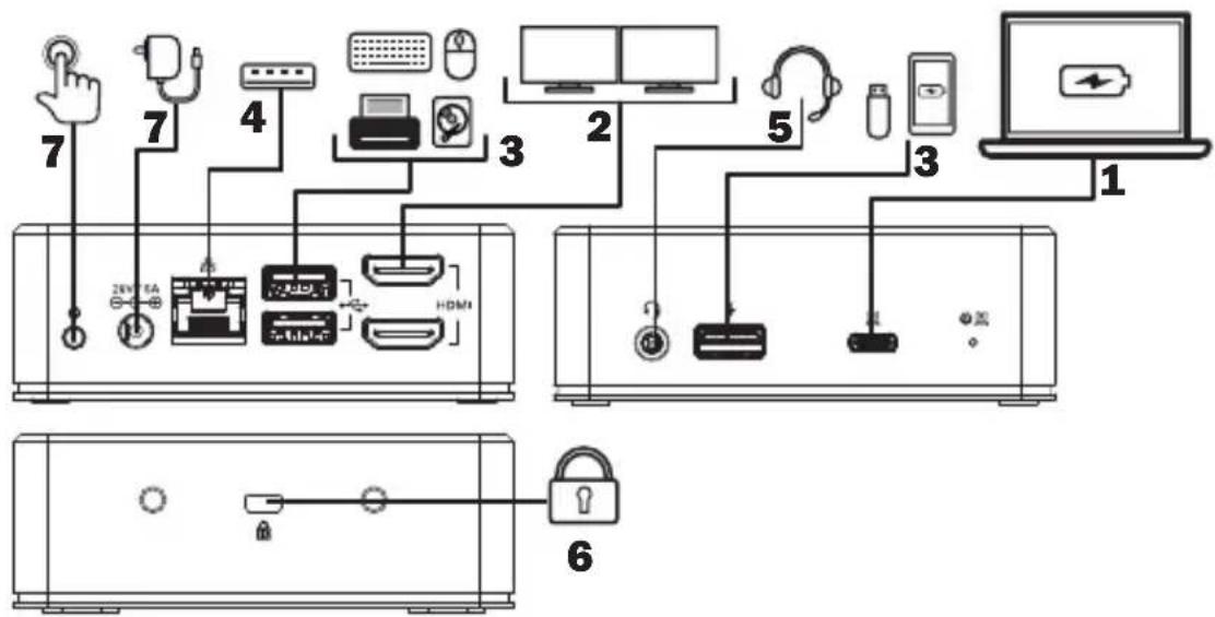 Tripp Lite U442DOCK20BINT - Notas: - 1