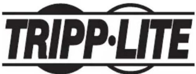 Tripp Lite U442DOCK20BINT - WEEE-Compliance-Informationen for Tripp-Lite-Kunden und Recycler (Europäische Union) - 2