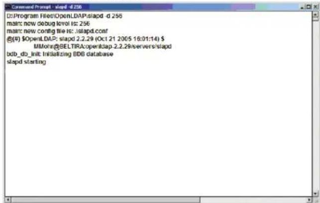 Tripp Lite B020U1619IP - Starting the OpenLDAP Server - 1
