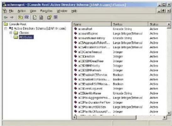 Tripp Lite B020U1619IP - Extend and Update the Active Directory Schema - 1