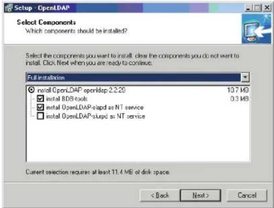 Tripp Lite B020U1619IP - OpenLDAP Server Installation - 1