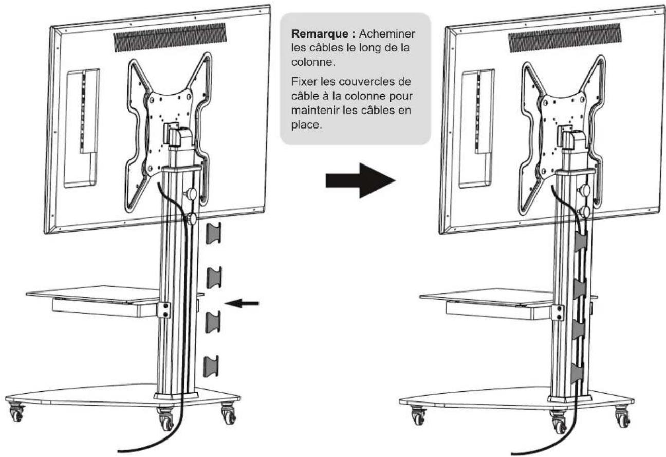 Tripp Lite DMCS3255SG62W - Acheminement des câbles - 1