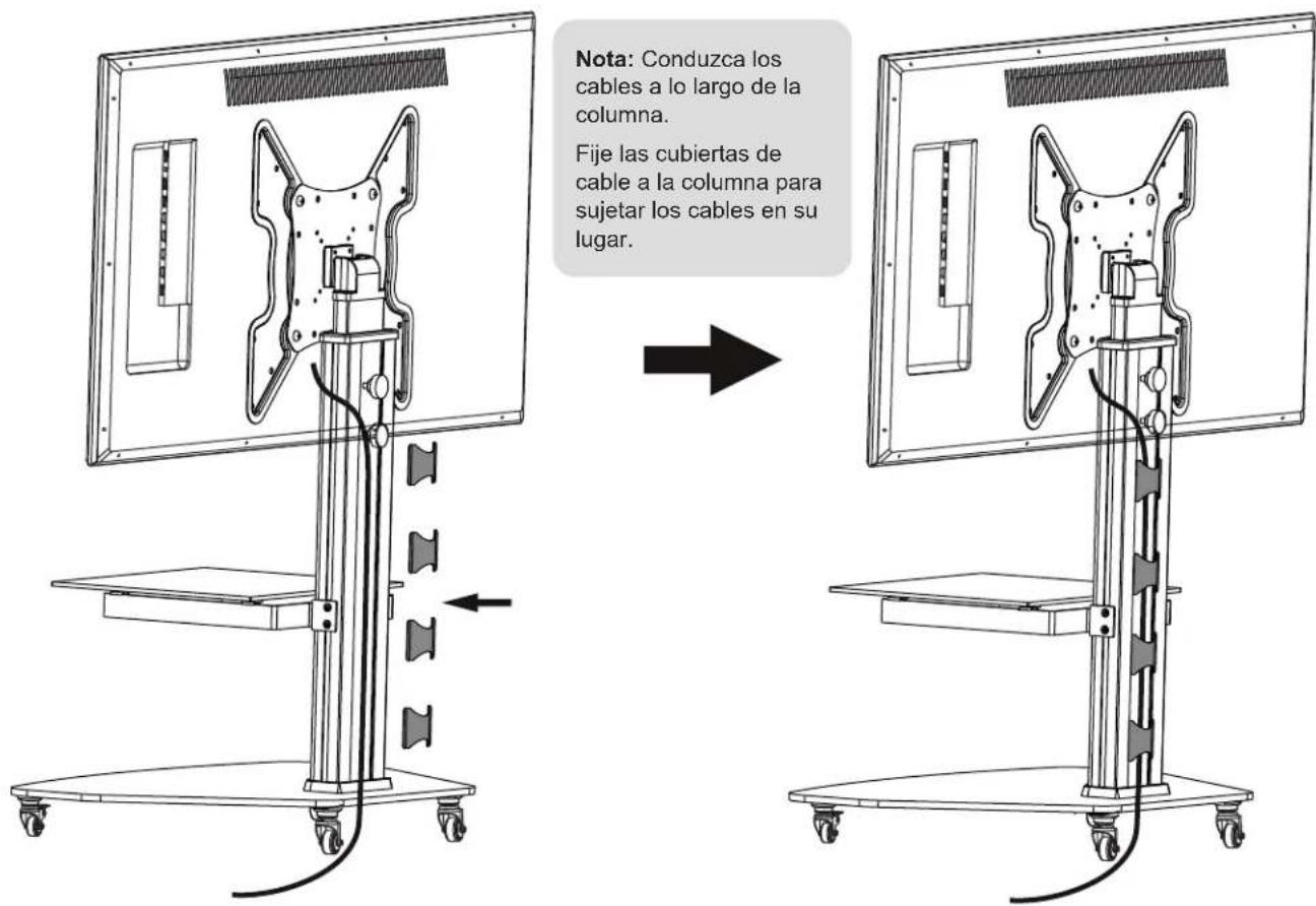 Tripp Lite DMCS3255SG62W - Conducción de Cable - 1