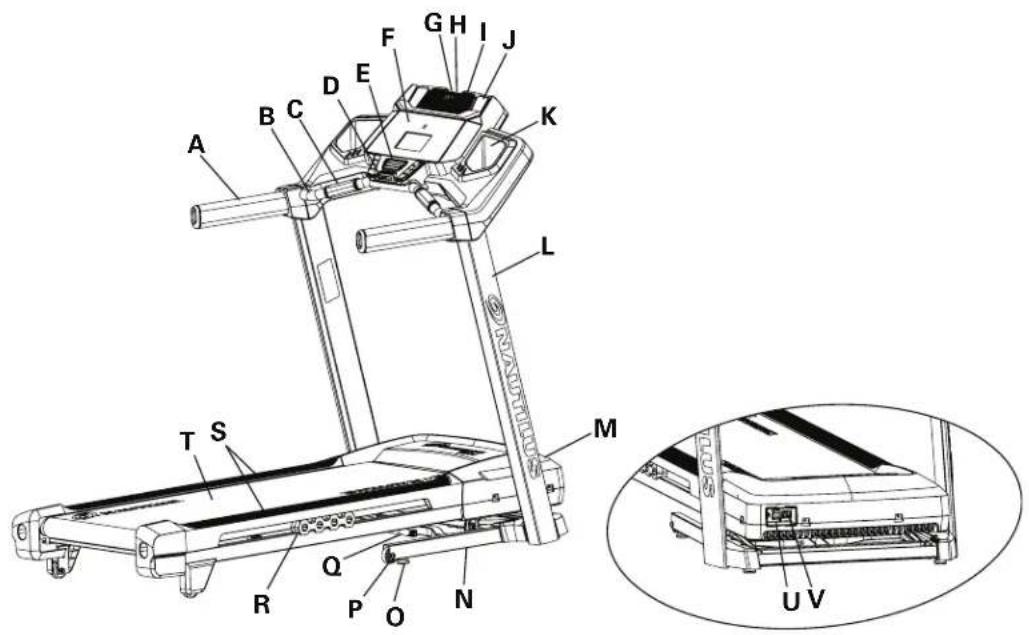 Nautilus T624 - Courroie du tapis de course - 1