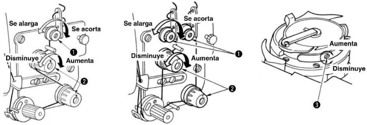 Se alarga Se acorta ① Disminuye Aumenta ② Se alarga Se acorta ① Disminuye Aumenta ② Aumenta Disminuye ③