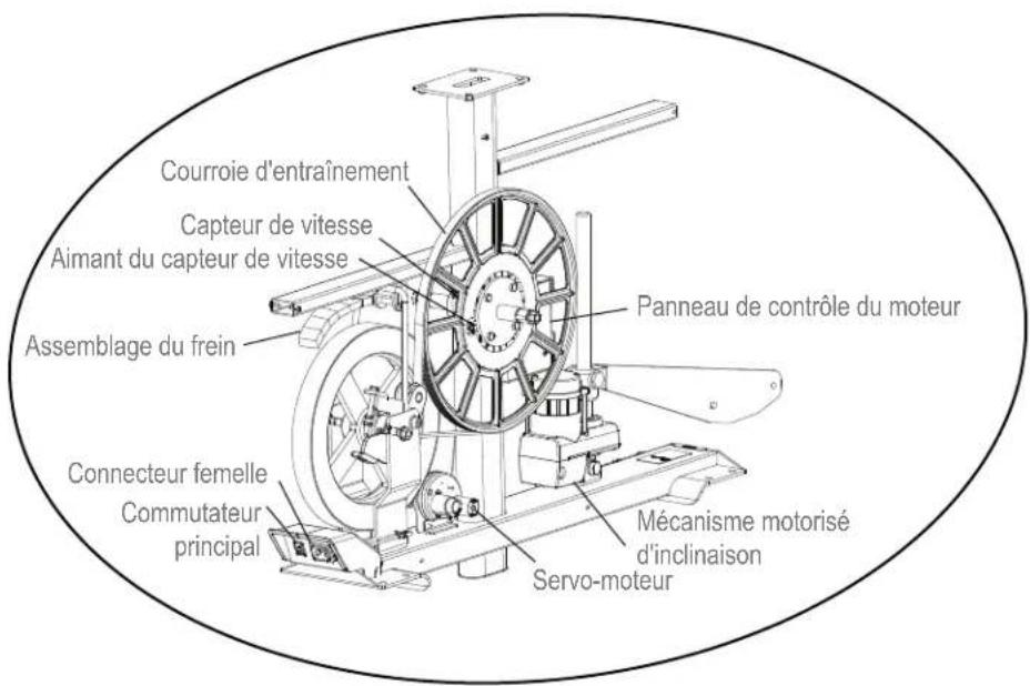 BOWFLEX BXE326 - Remplacer la pile de la sangle thoracique de mesure de la fréquence cardiaque - 4