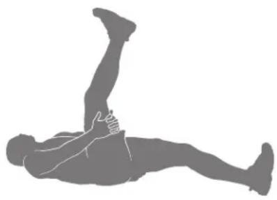 BOWFLEX BXT188 - Relevés de jambes en position allongée - 1