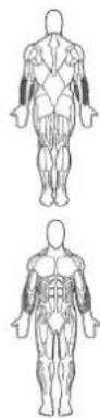 BOWFLEX Xtreme 2 SE - Leg Extension: - 1