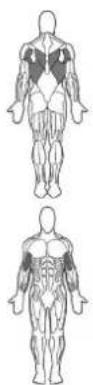 BOWFLEX Xtreme 2 SE - 重点提示: - 1