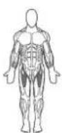 BOWFLEX Xtreme 2 SE - Pulleys: - 1