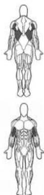 BOWFLEX Xtreme 2 SE - Points clé : - 1