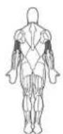 BOWFLEX Xtreme 2 SE - Leg-extension: - 1