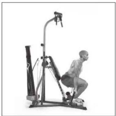 BOWFLEX Xtreme 2 SE - Pulleys: - 2