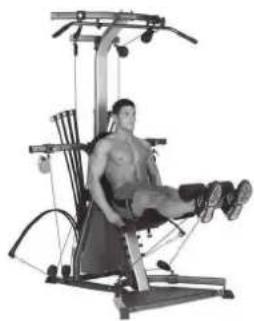 BOWFLEX Xtreme 2 SE - 拉力塔: - 1