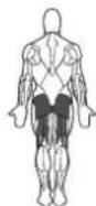 BOWFLEX Xtreme 2 SE - Points clé : - 1