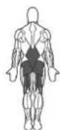 BOWFLEX Xtreme 2 SE - Points clé : - 1