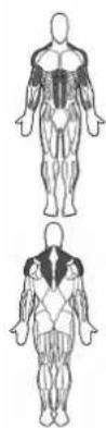BOWFLEX Xtreme 2 SE - Sugerencias - 1