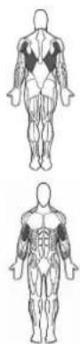 BOWFLEX Xtreme 2 SE - Puntos clave: - 1