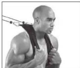 BOWFLEX Xtreme 2 SE - 腹部訓練肩带 - 5