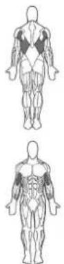 BOWFLEX Xtreme 2 SE - Leg Extension: - 1