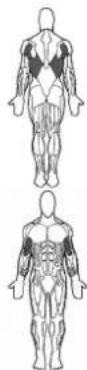 BOWFLEX Xtreme 2 SE - Points clé : - 1