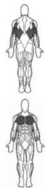 BOWFLEX Xtreme 2 SE - Points clé : - 1