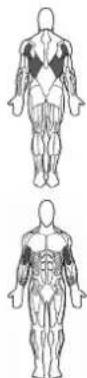 BOWFLEX Xtreme 2 SE - Puntos clave: - 1
