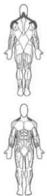 BOWFLEX Xtreme 2 SE - 重點提示: - 1