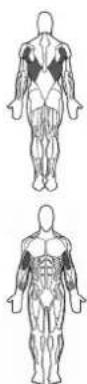 BOWFLEX Xtreme 2 SE - Puntos clave: - 1